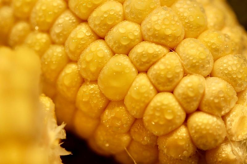 Вареная кукуруза в термосе