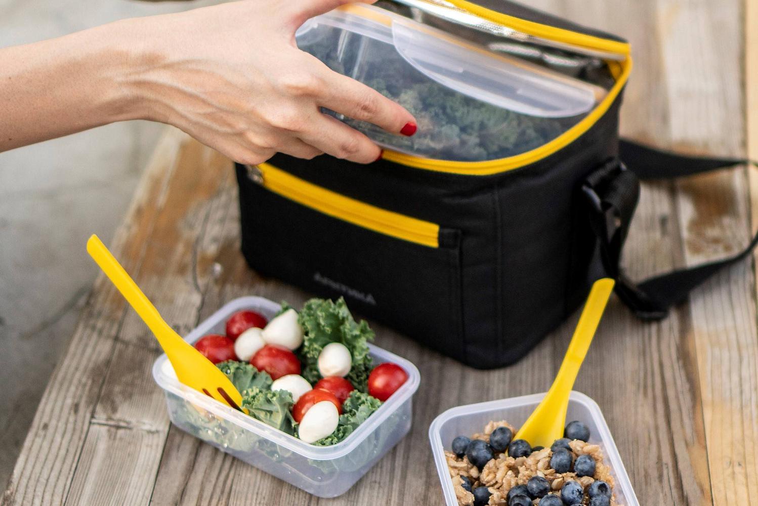 В комплекте мини-термосумки «Арктика» серии 020 есть от 1 до 3 ланч-боксов и компактные приборы.